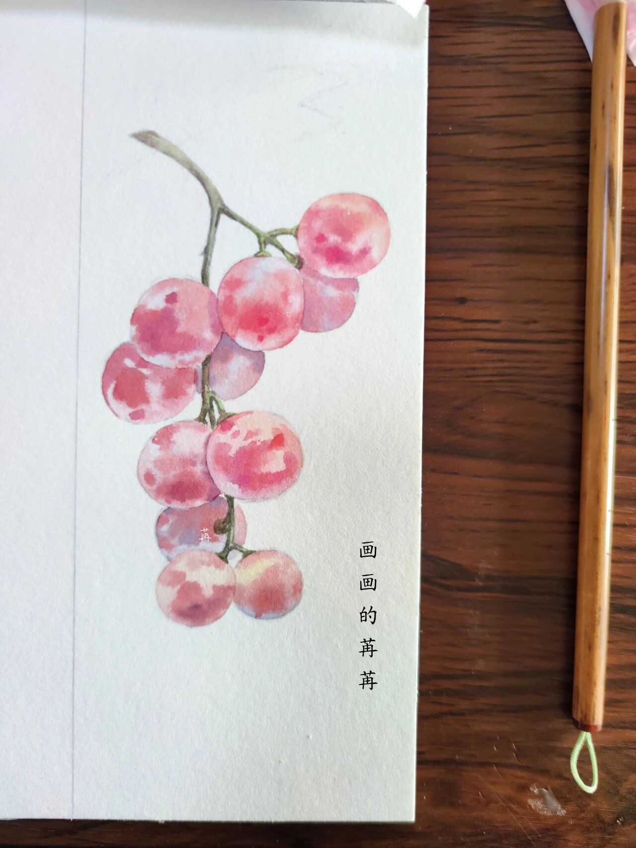 水彩水果书签92 葡萄99 来一串酸甜的红提  葡萄99