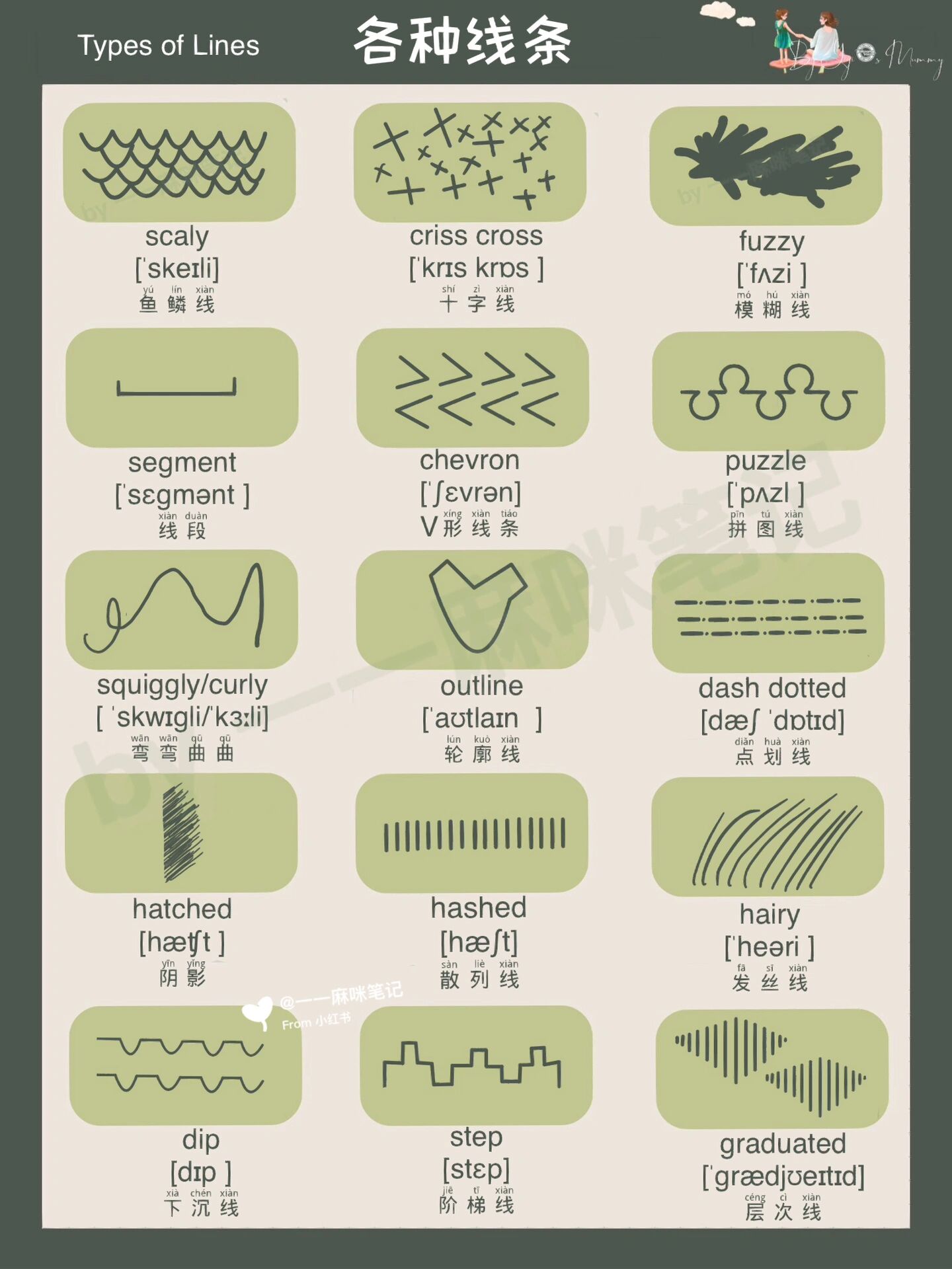 各种线条的名称图片