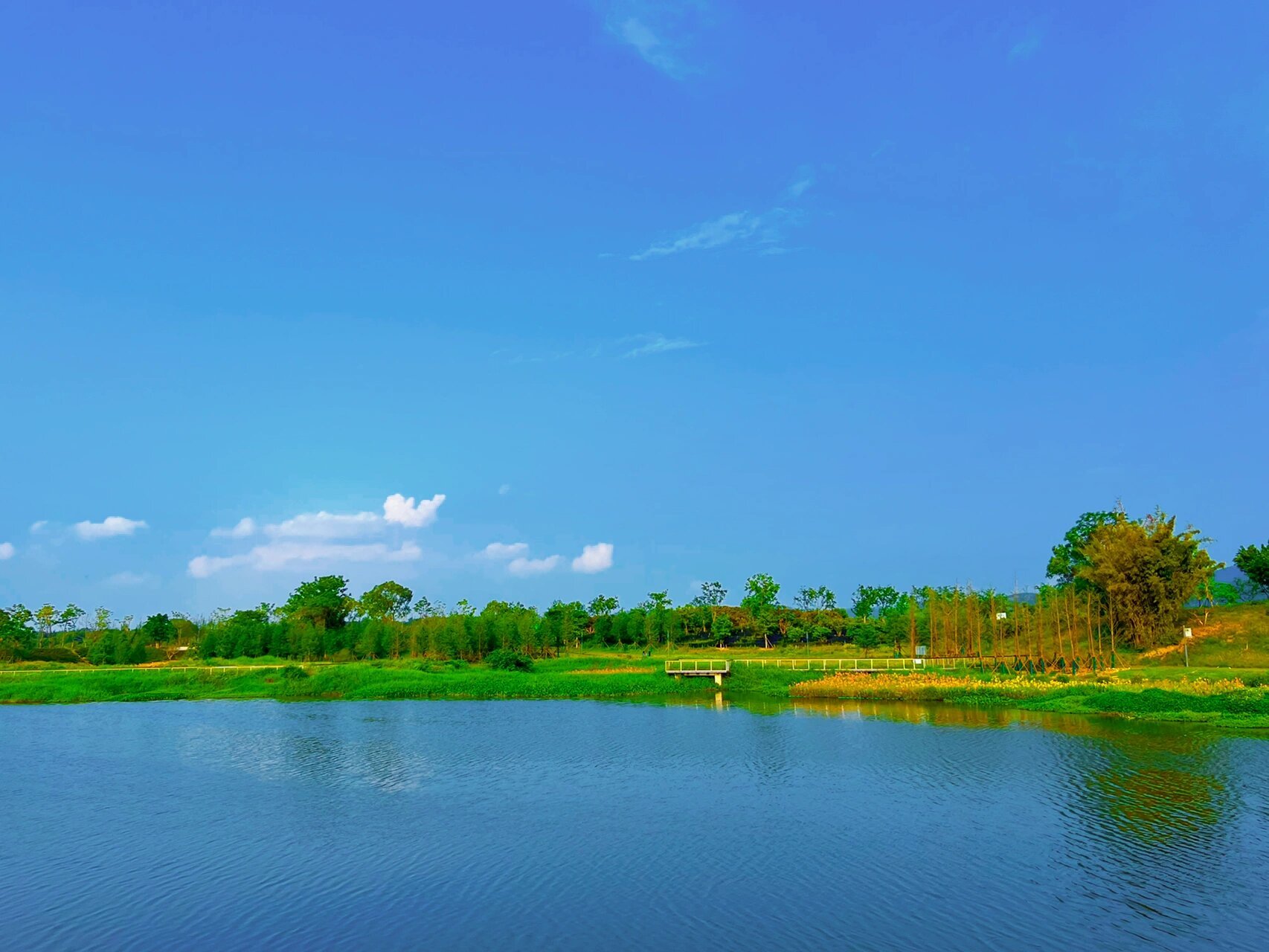 河源白鹭岛公园 从市区出发30分钟到达,位置在高新区.