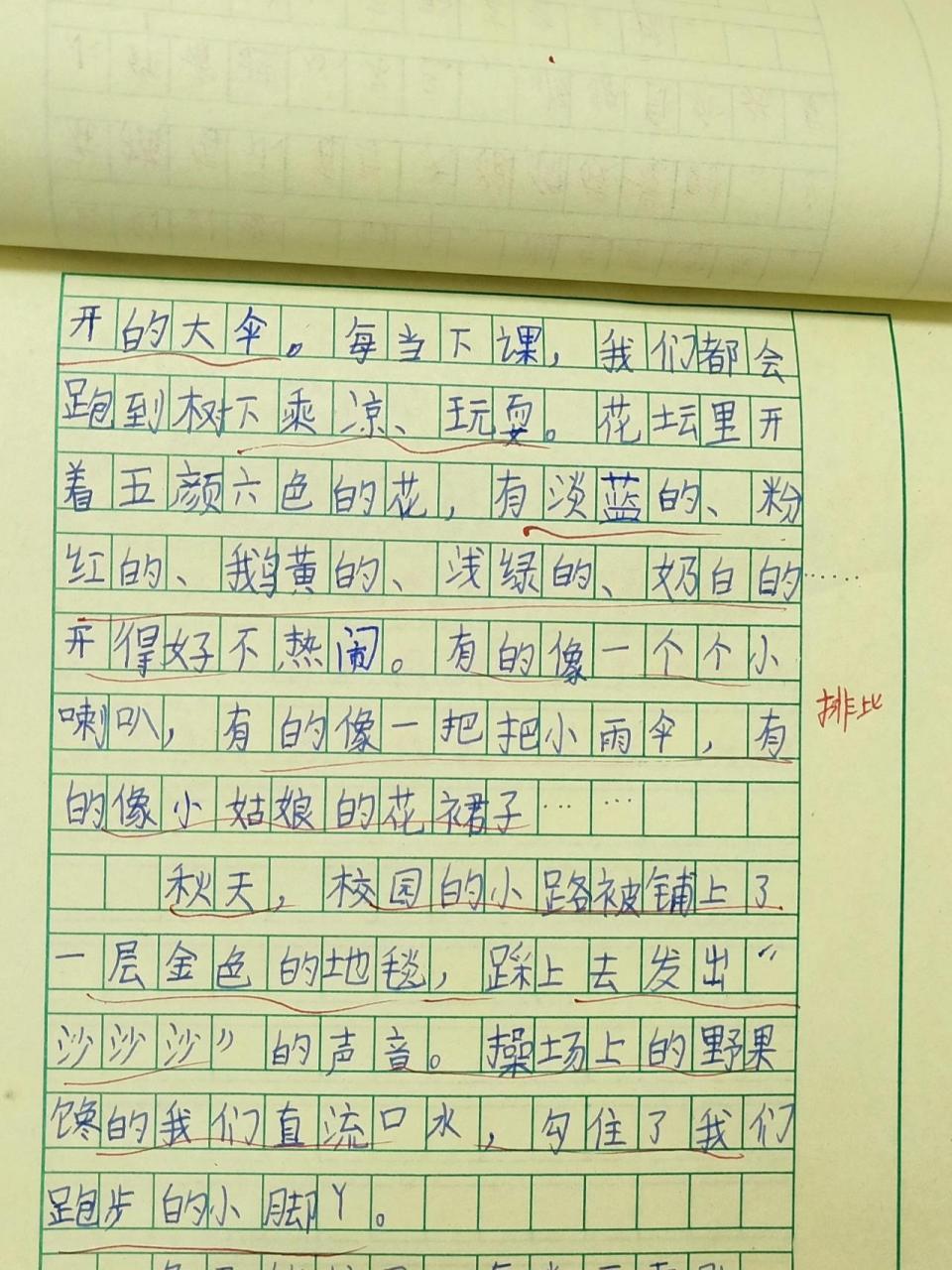 美丽的校园作文50字图片