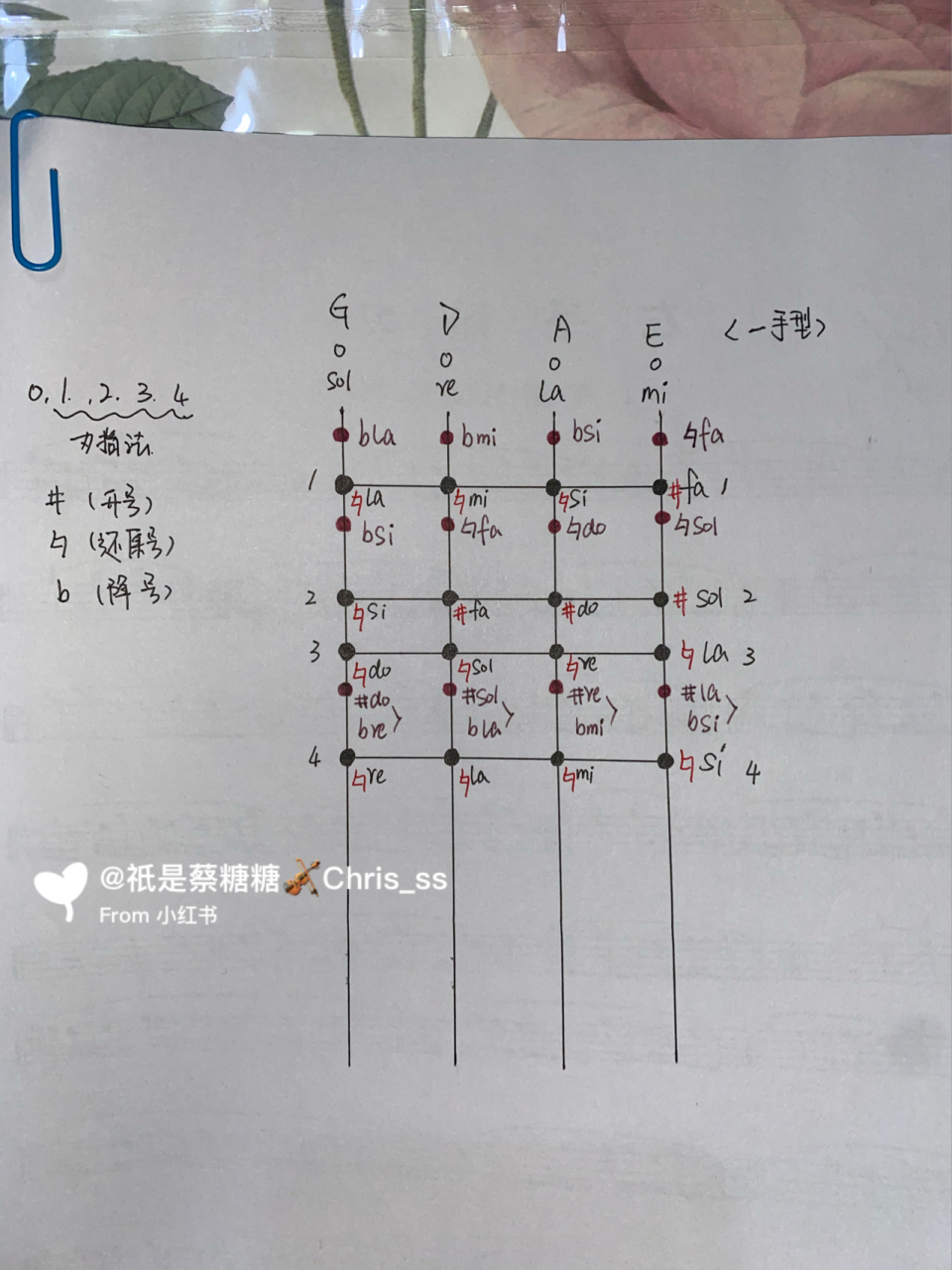 小提琴定弦图片