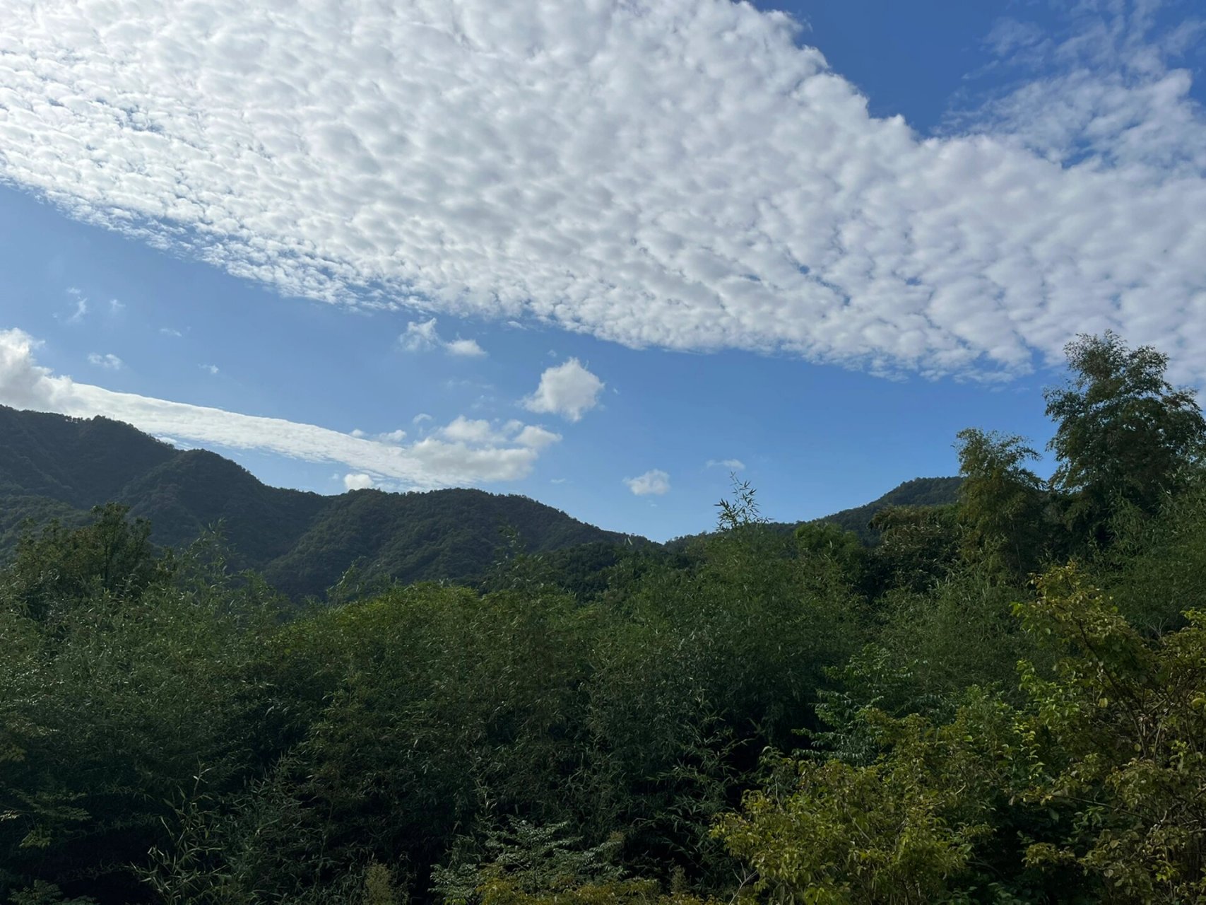 庐江县柯坦镇牛王寨 这么好的山,这么漂亮的风景,为啥假期没人爬