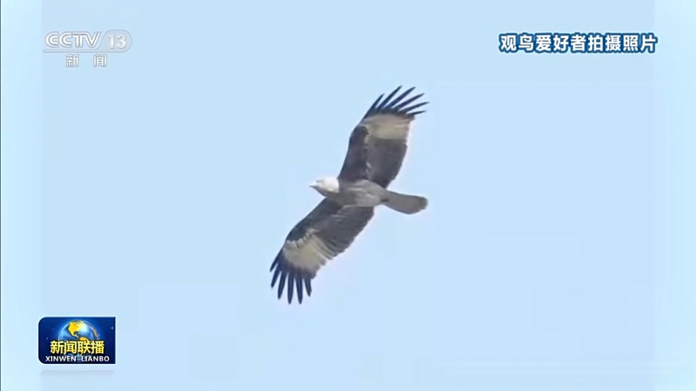 【北京森林覆盖率达44.8%,城市绿化覆盖率达49.