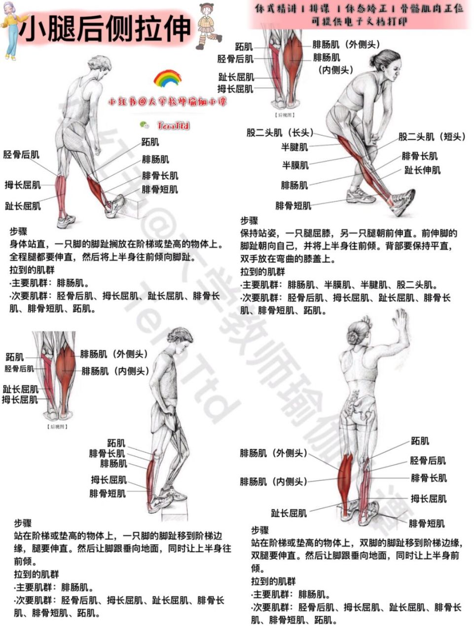 腿部拉伸运动图解图片