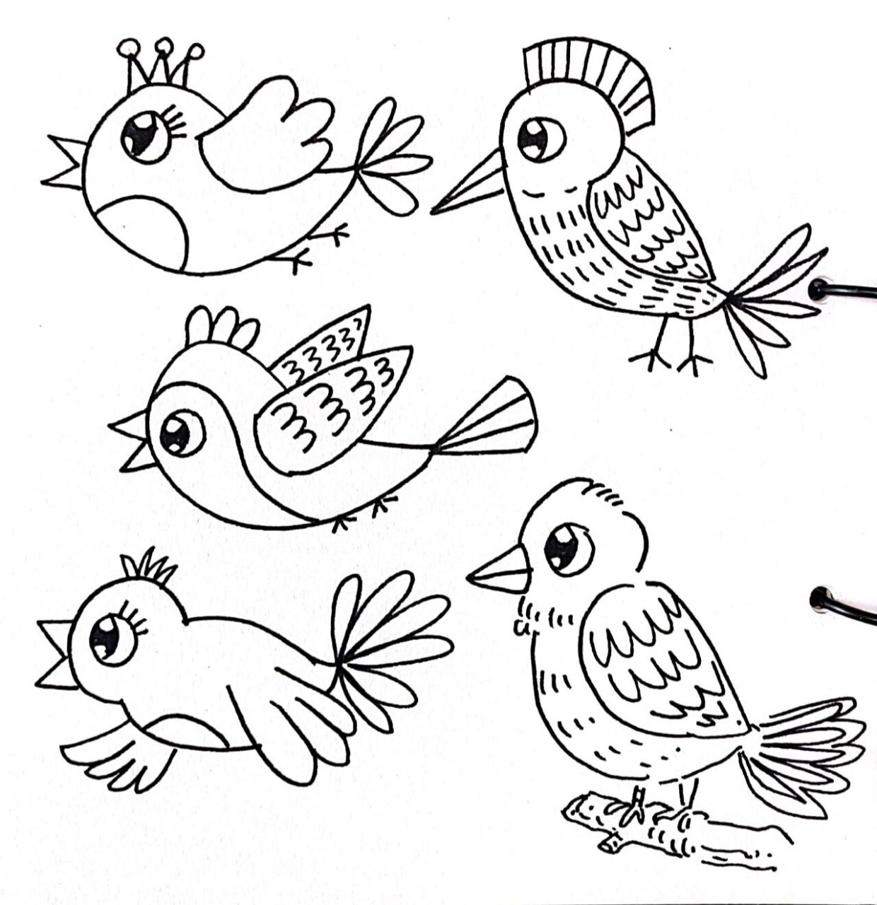 5只小鸟简笔画图片