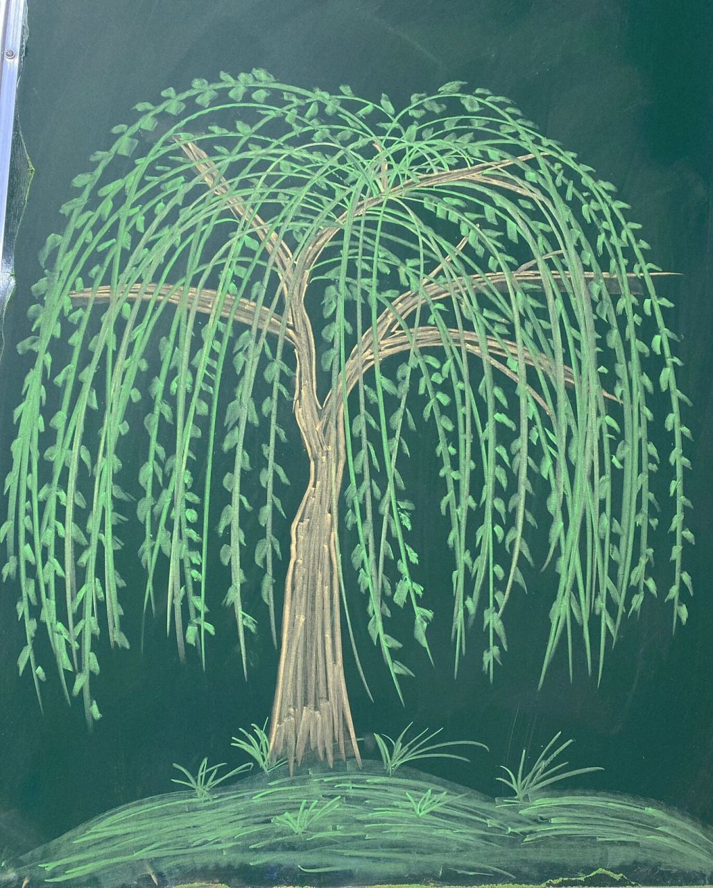 怎么画柳树黑板图片