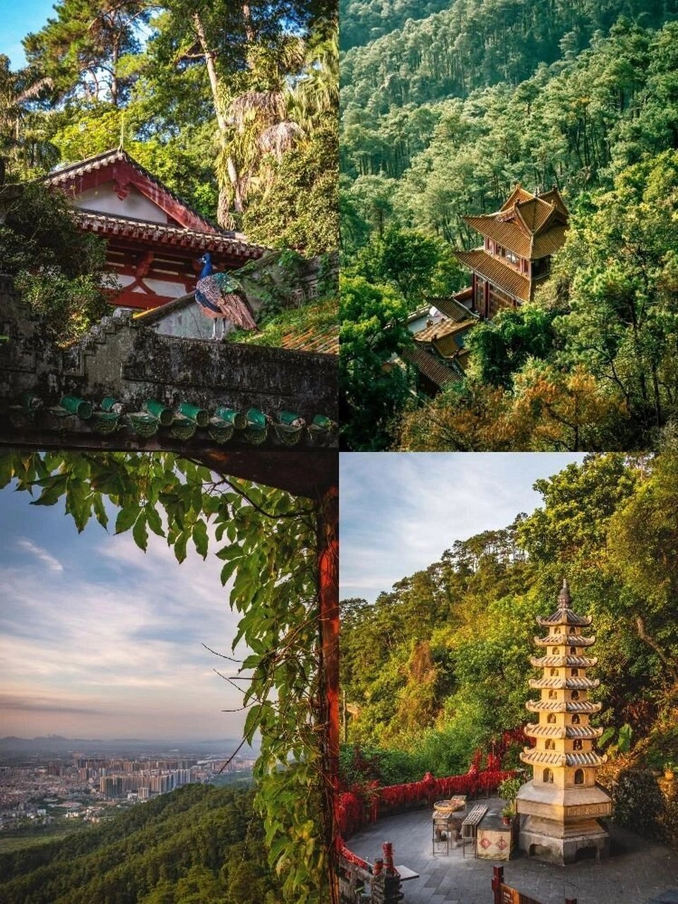 来广西旅游,怎么能错过桂平西山的日出7915,而且据说西山很灵,来