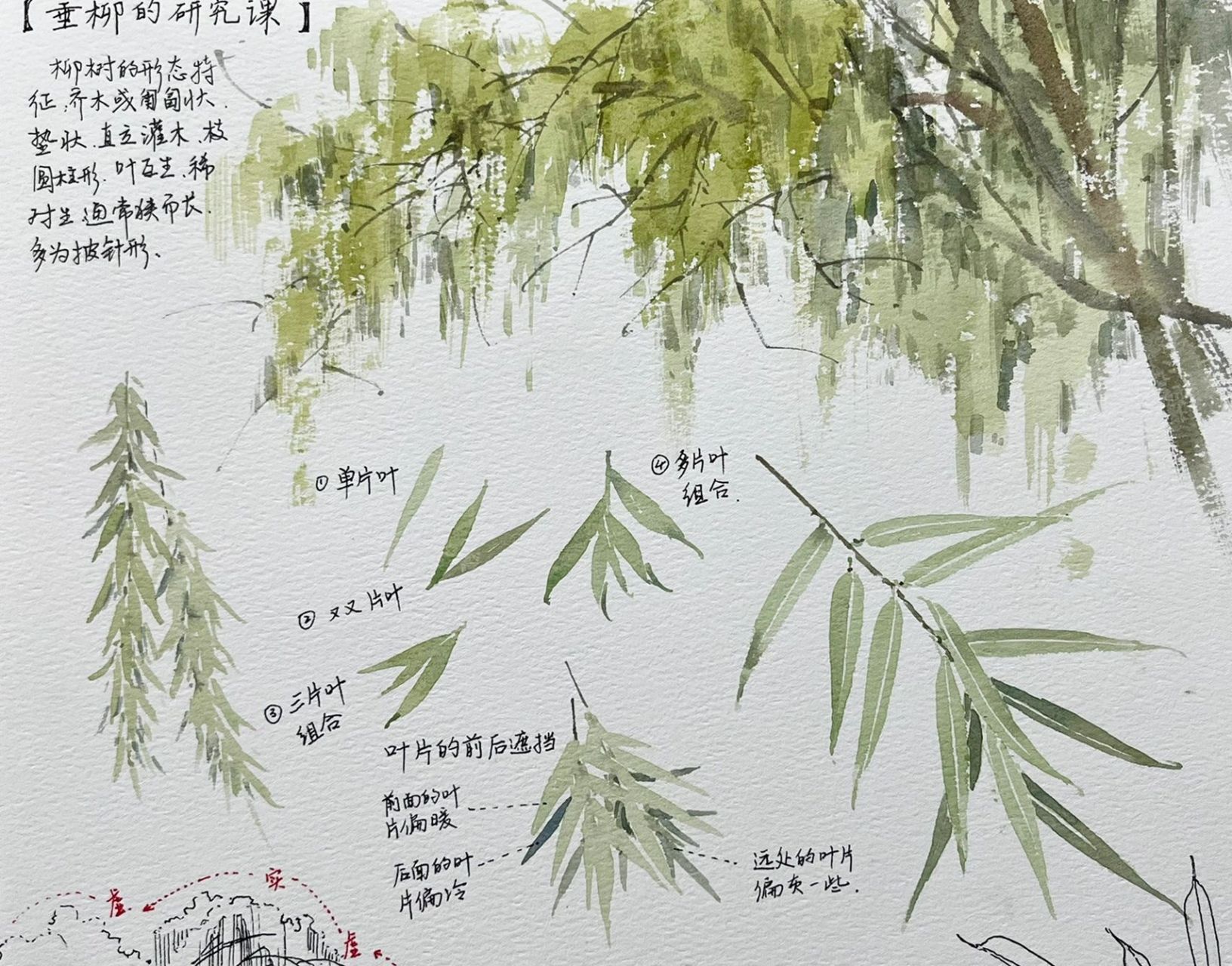最走心版水彩手帐笔记|垂柳的画法 风景水彩笔记养成记,画树你还不会