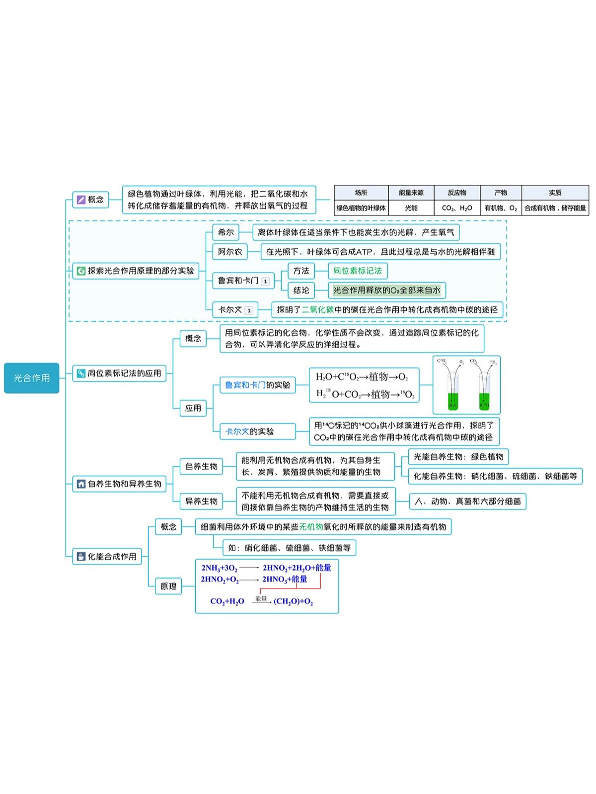 4光合作用(1/3) :思维导图·学习笔记 : ①实验:绿叶中色素的提取和