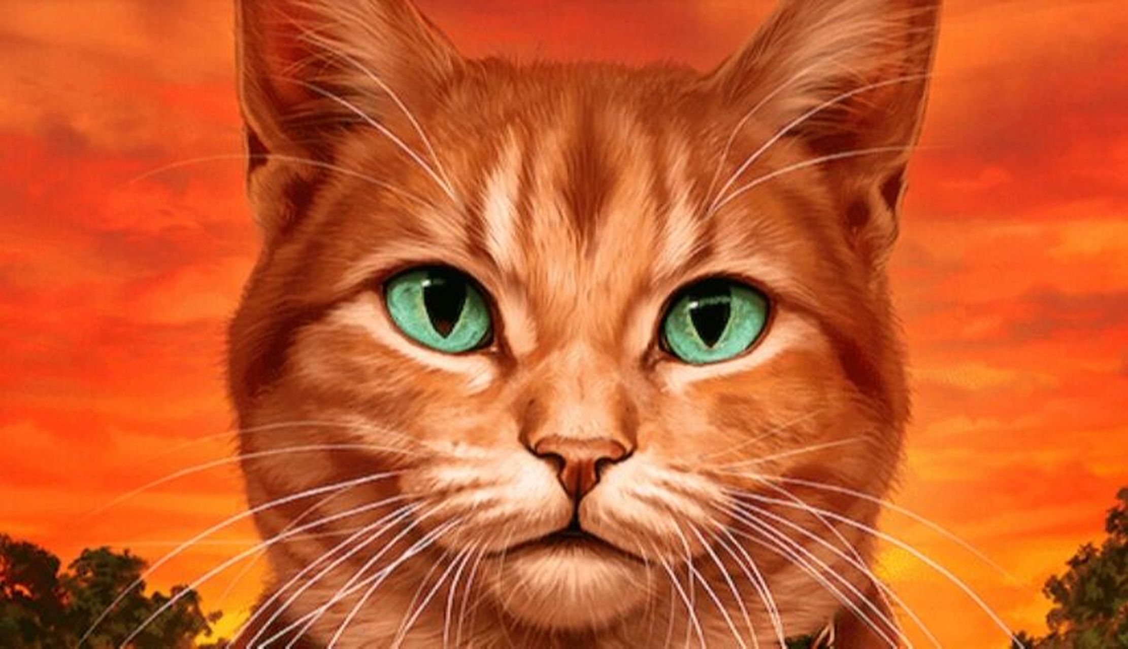 猫武士好图分享 1长鞭 2虎星一世 3鸦羽 4松鼠飞 5叶池 6火星 7蓝星 8