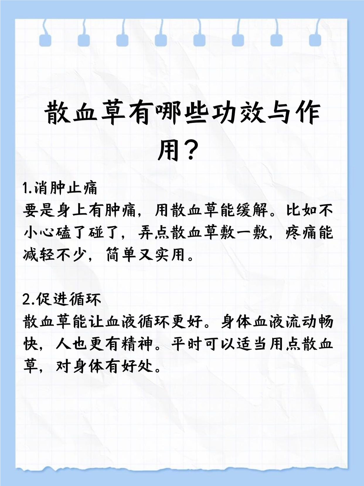 散血草功效不少!它能消肿止痛,有伤口时用用挺好