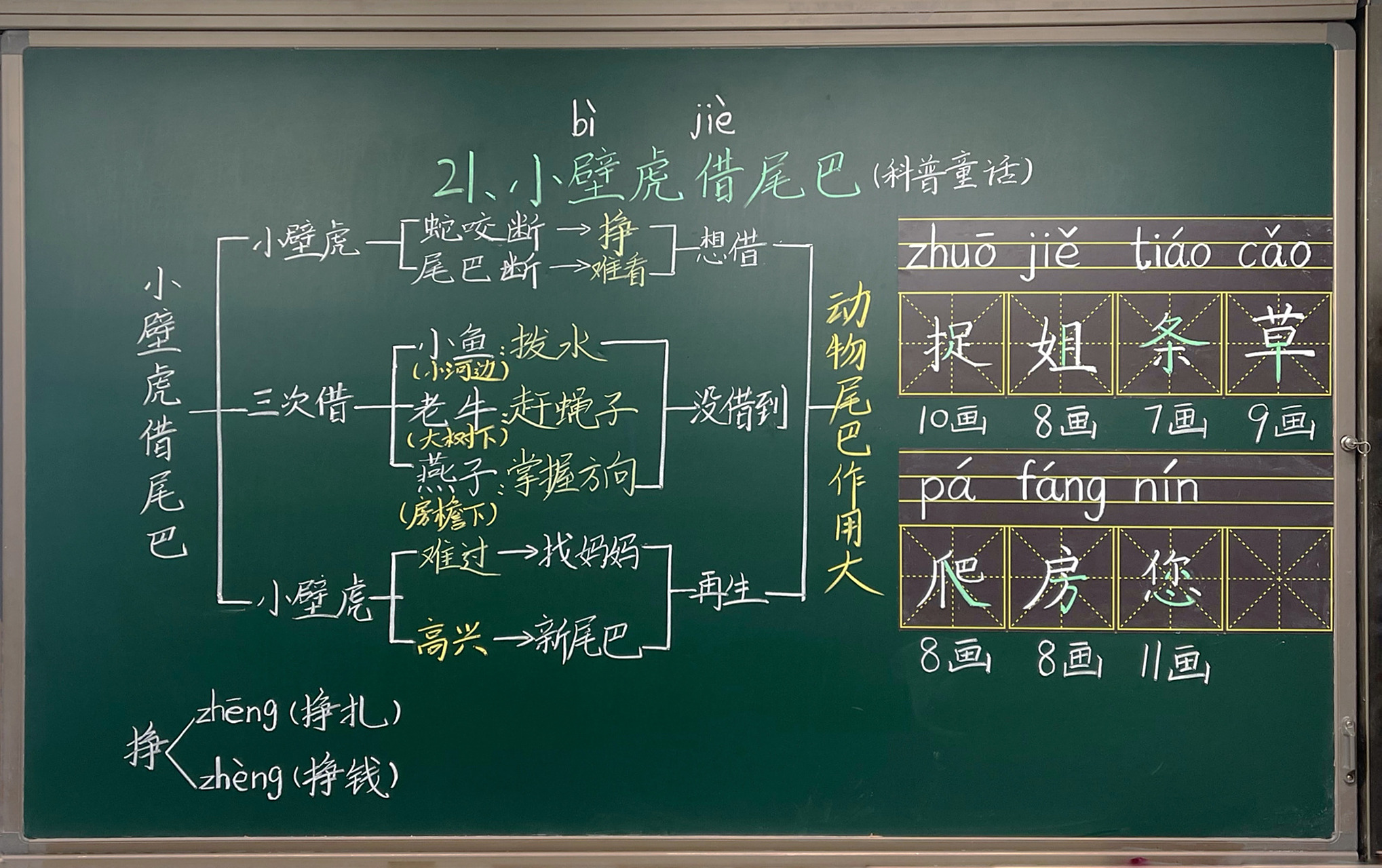 一下语文《小壁虎借尾巴》教学板书 终于08 结束了00 本学期所有