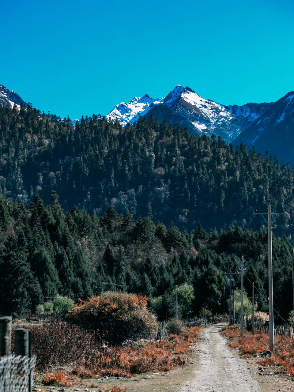 林芝南伊沟,藏地小江南不容错过的绝美秋色 🍂如果说,北疆的秋色是