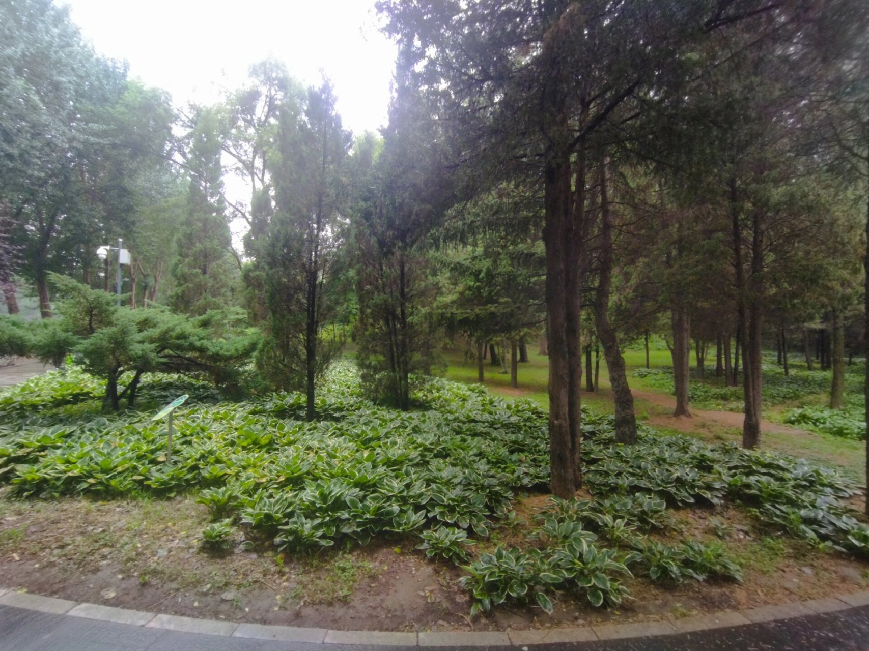沈阳科普公园走一圈
