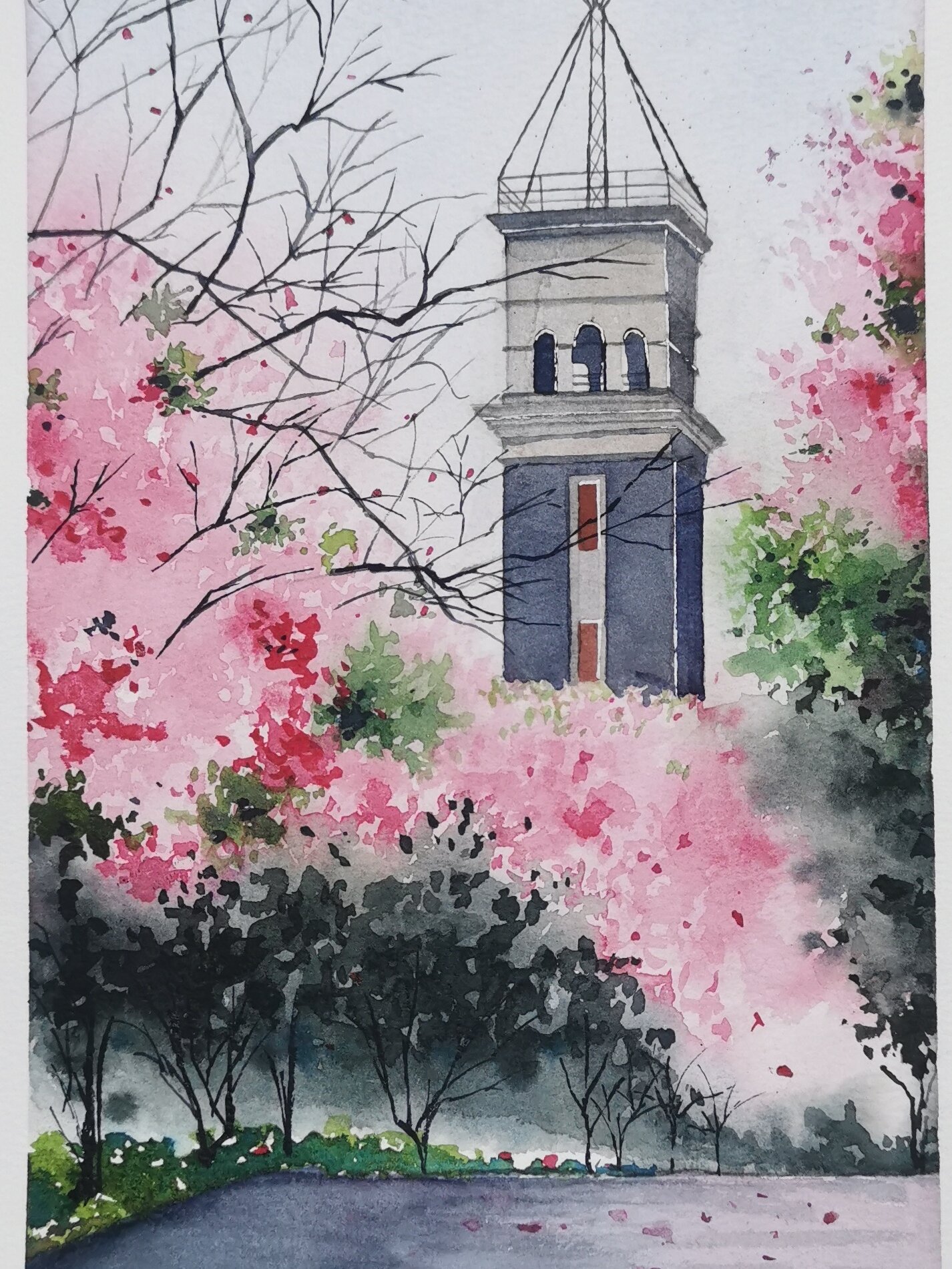 跟我一起云游云南大学(校园风景手绘