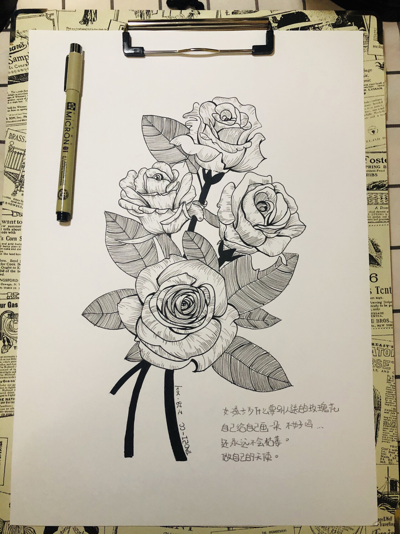 线描画/插画/写生花卉100(1)