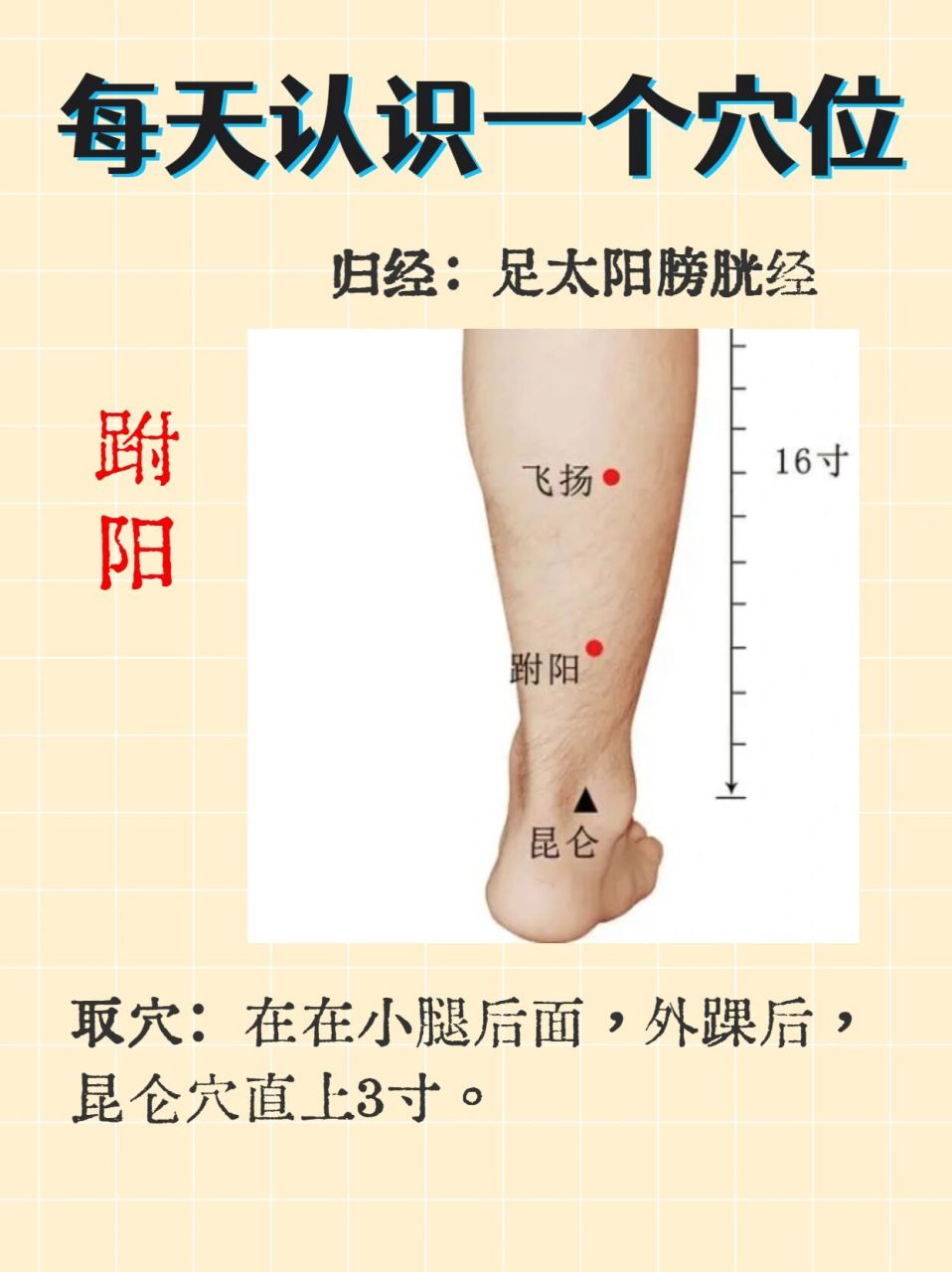 跗阳的准确位置图图片