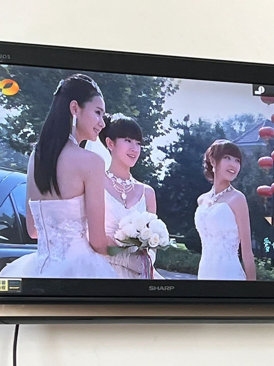 爱情真善美 大家喜欢哪对? 我喜欢严格和天美0606