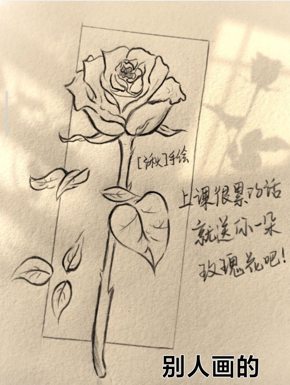 简笔画临摹/一朵玫瑰花   玫瑰花的花语是爱情,爱与美,容光焕发,勇敢