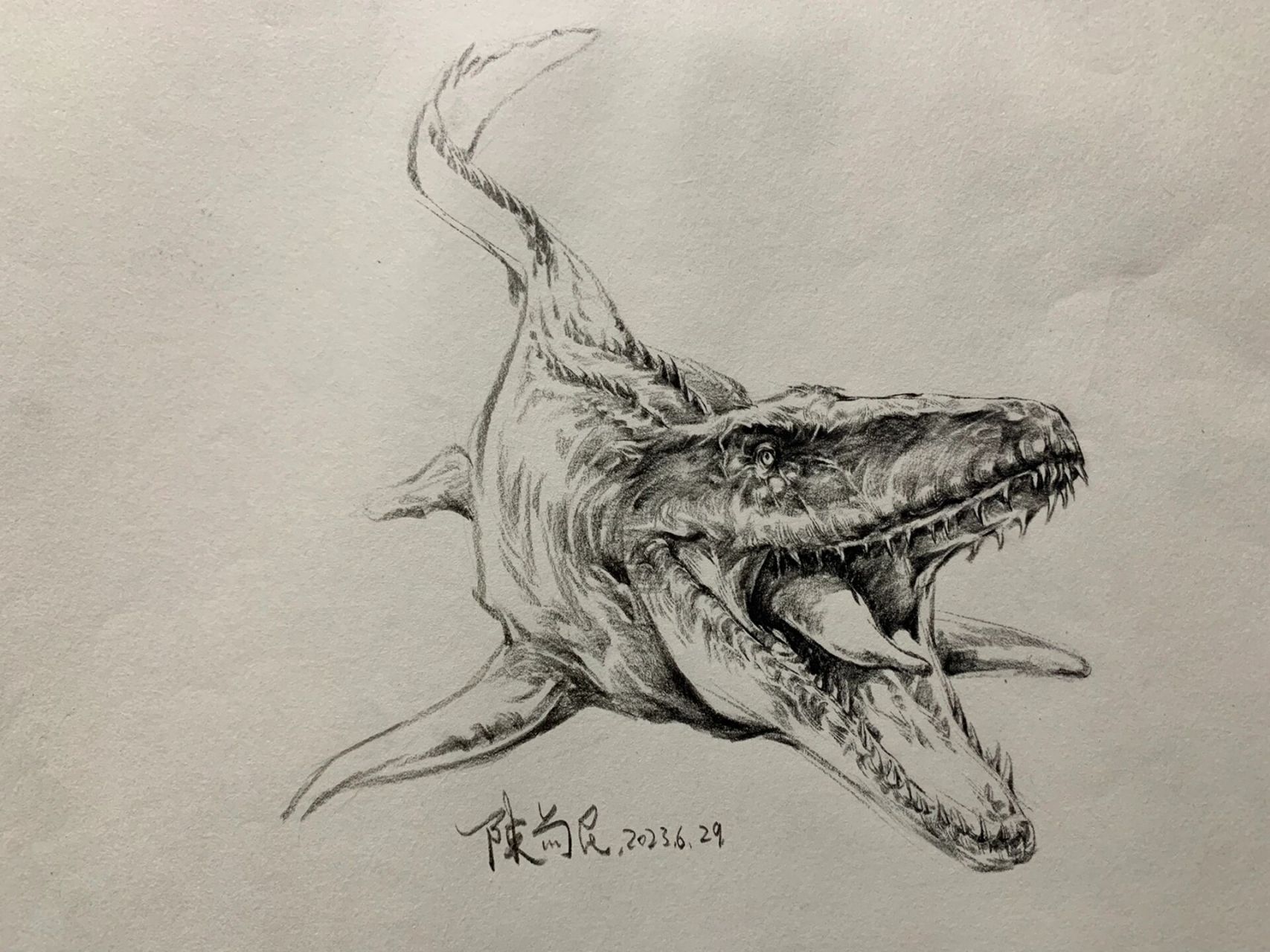 蜥形纲:沧龙 一天画一只龙