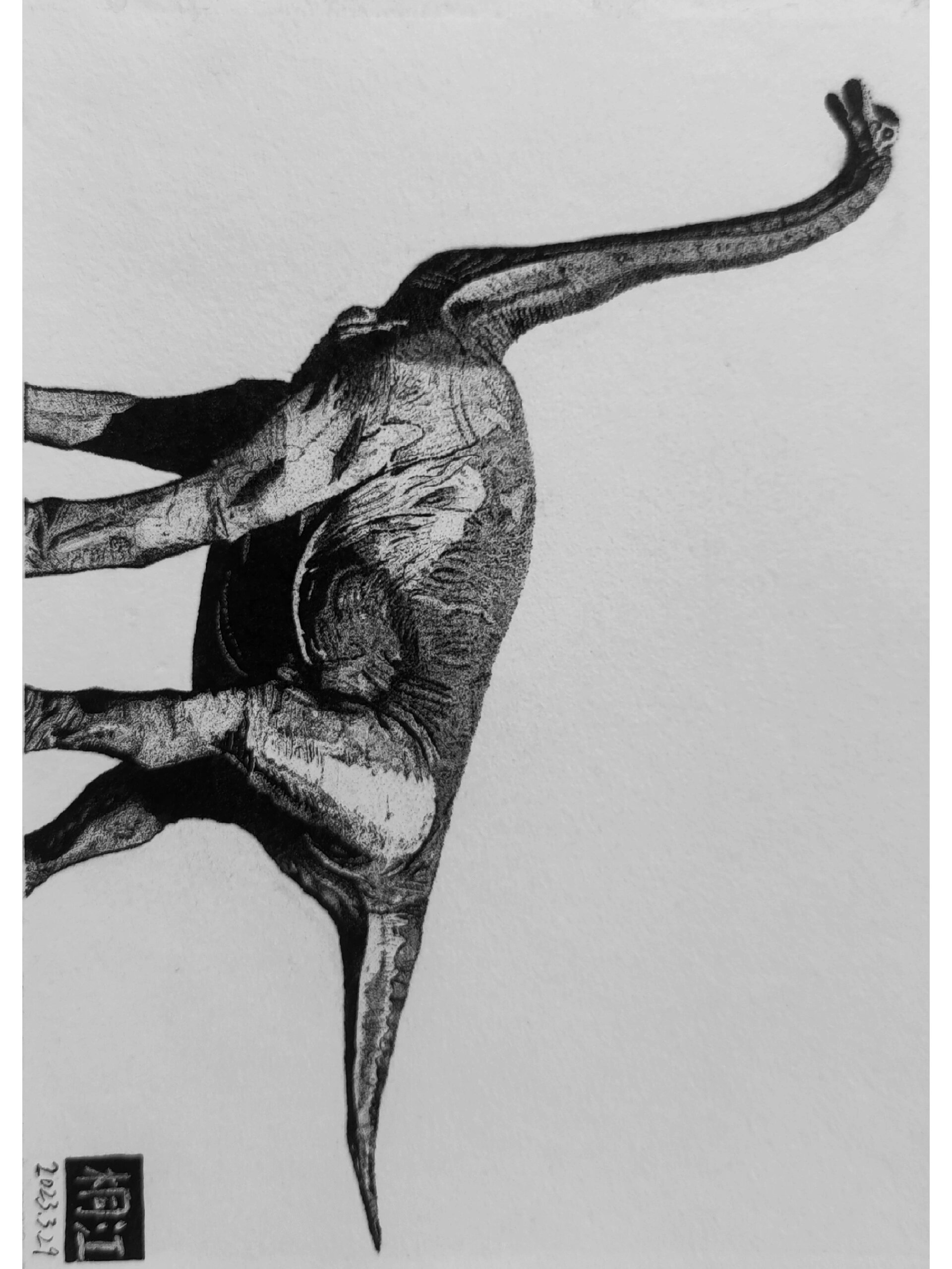 恐龙来了!手绘写实钢笔画,点绘腕龙插画