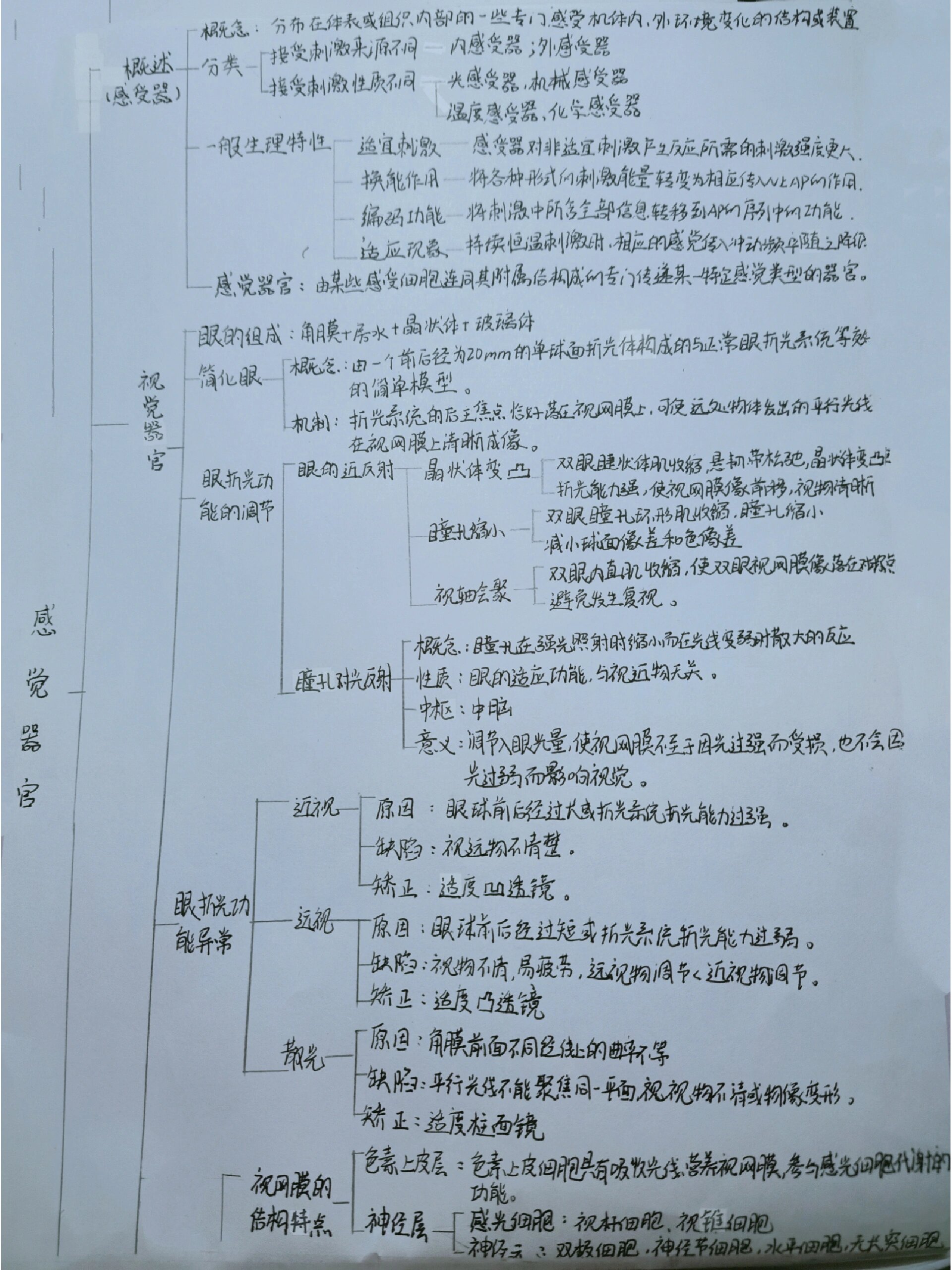 生理学思维导图——感觉器官 思维导图手写