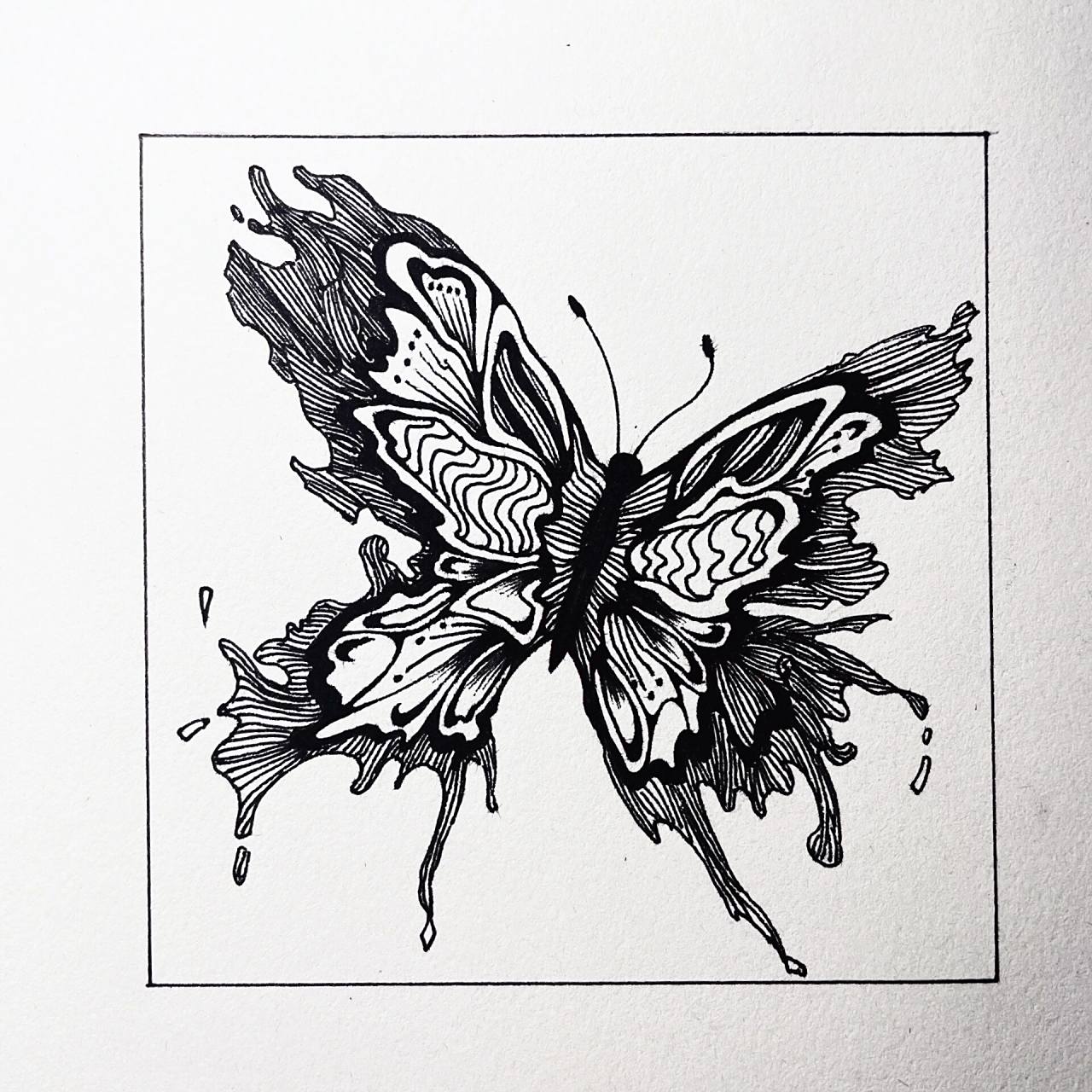 点线面构成作业       点线面好费脑细胞