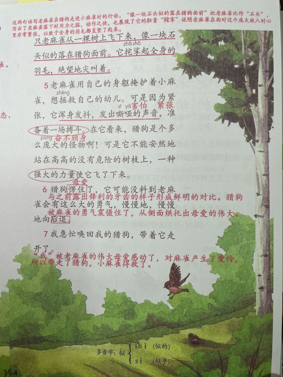 部编版语文四年级上|16《麻雀》 会认:嗅,奈,拯等6个字 会写:嗅,躯,掩