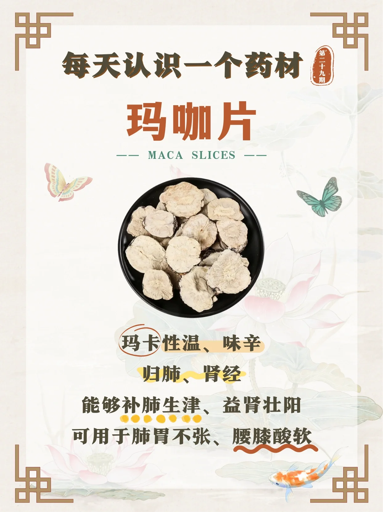 功效 可用于肺胃不张,腰膝酸软,阳痿等症状 提高生育力 玛咖中含有的