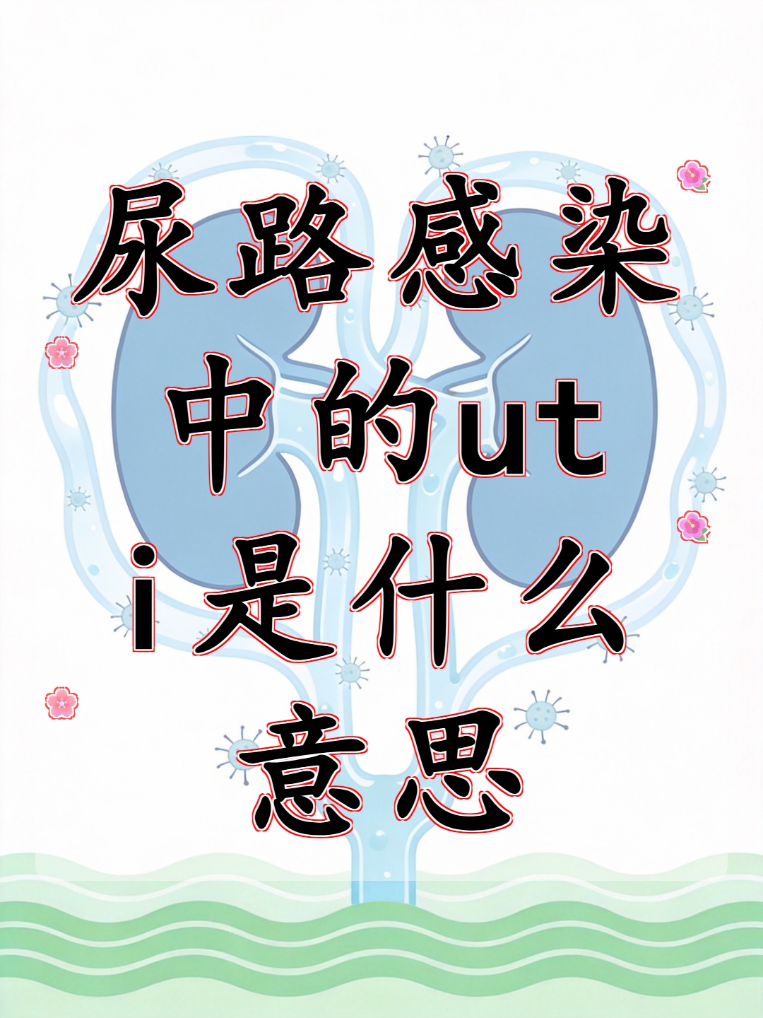 弊尿