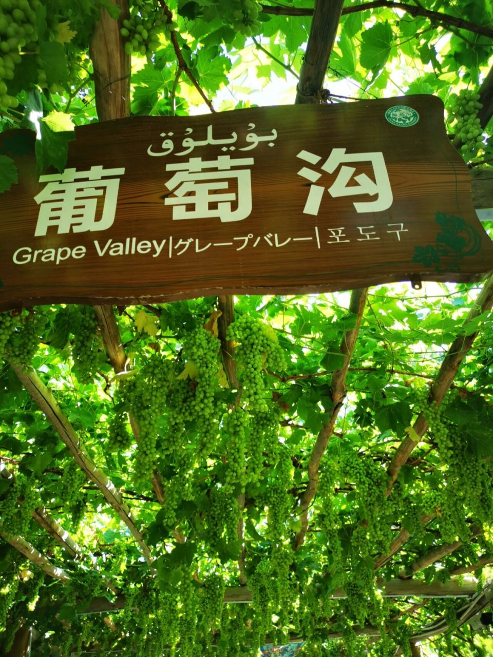 新疆吐鲁番葡萄沟 看图就知道葡萄沟有多凉快 整个地区被天山水环绕