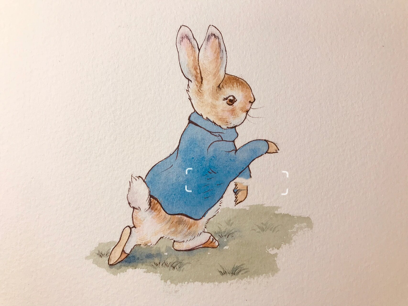 水彩插画 可爱的小彼得兔