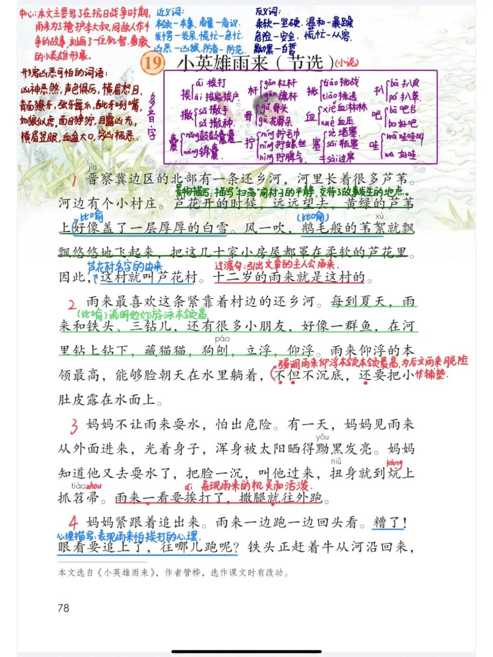 97部编版四年级下19《小英雄雨来》课堂笔记 97部编版四年级下19