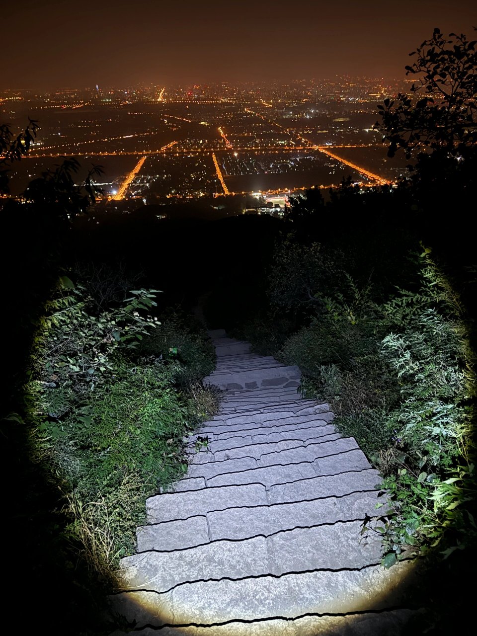 西山公园夜景图片