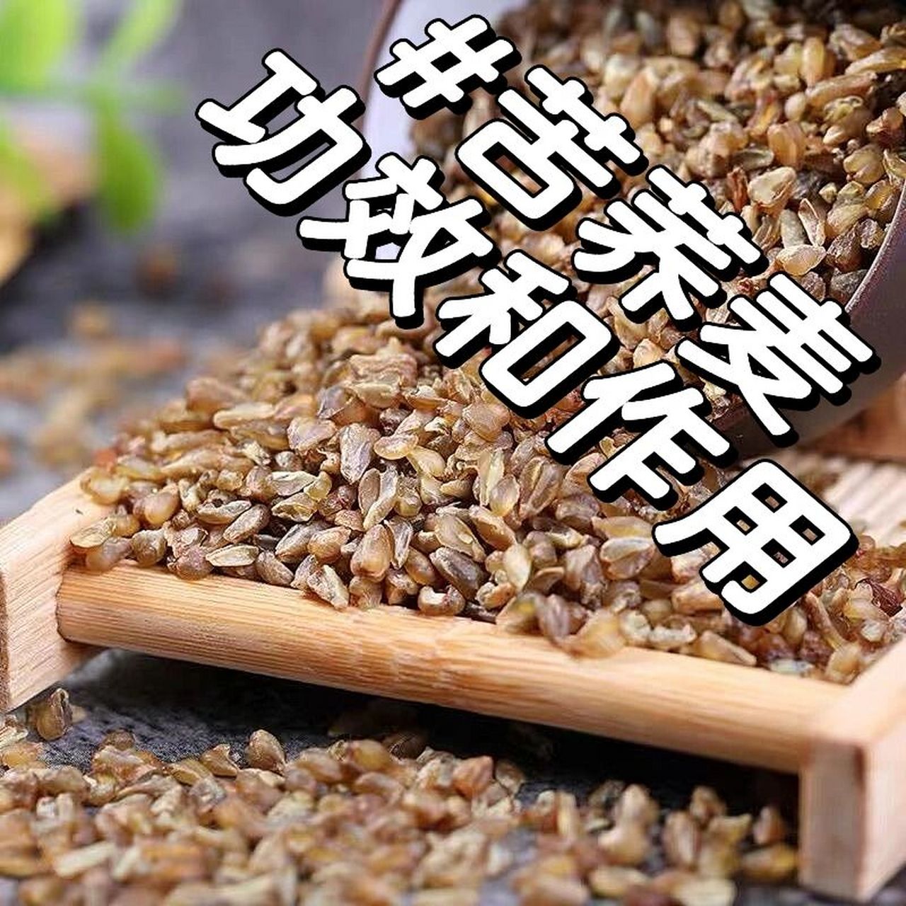 苦荞麦95健脾利湿,养胃生津,排毒养颜 苦荞麦 功效与作用 95健脾