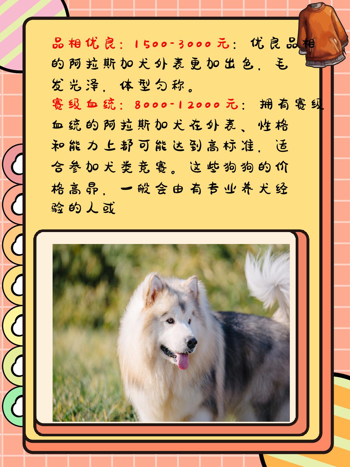 阿拉斯加卖掉多少钱一个