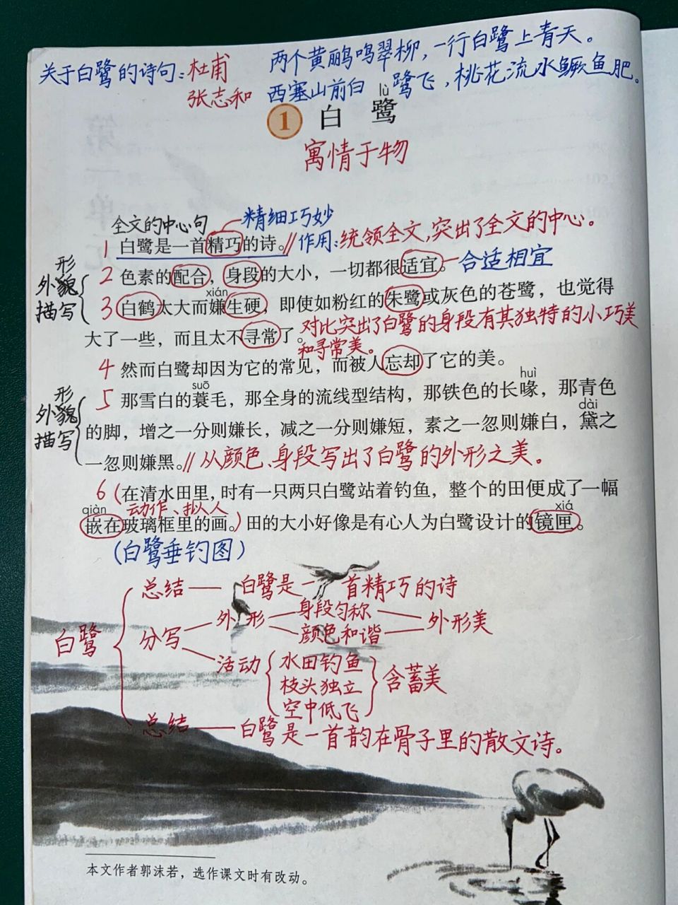 部编版五年级上册语文 第1课 白鹭 课堂笔记