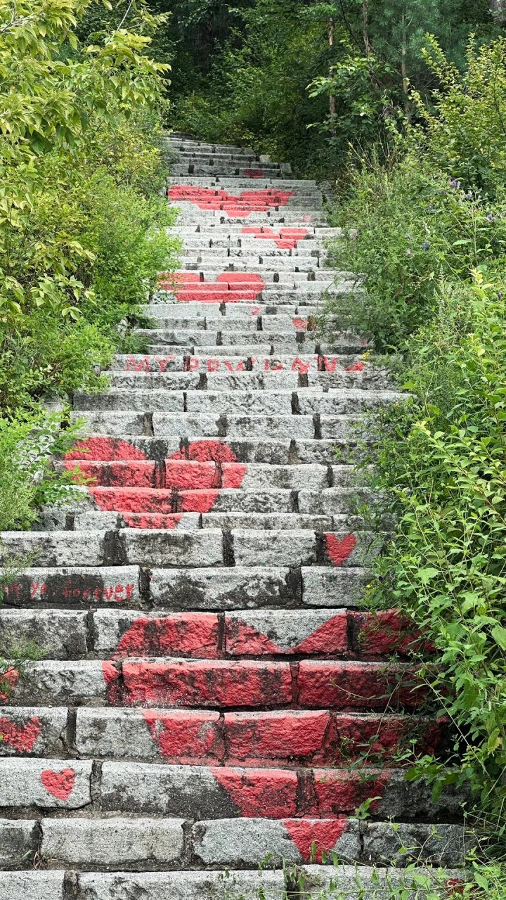 双鸭山 翠峰山 立秋爬爬山,这小松鼠也太胖乎了