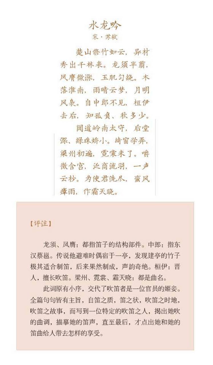 水龙吟翻译图片