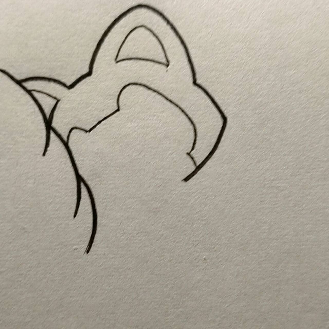 简笔画教程# #简笔画# #手绘过程# #治愈# #画画的日常# #阿狸