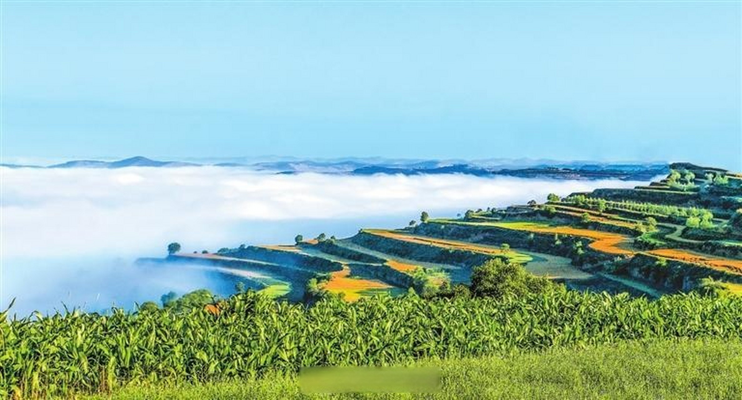 是时候去甘肃旅游了# 被誉为"梯田王国"的庄浪大地,望山山翠,看地地