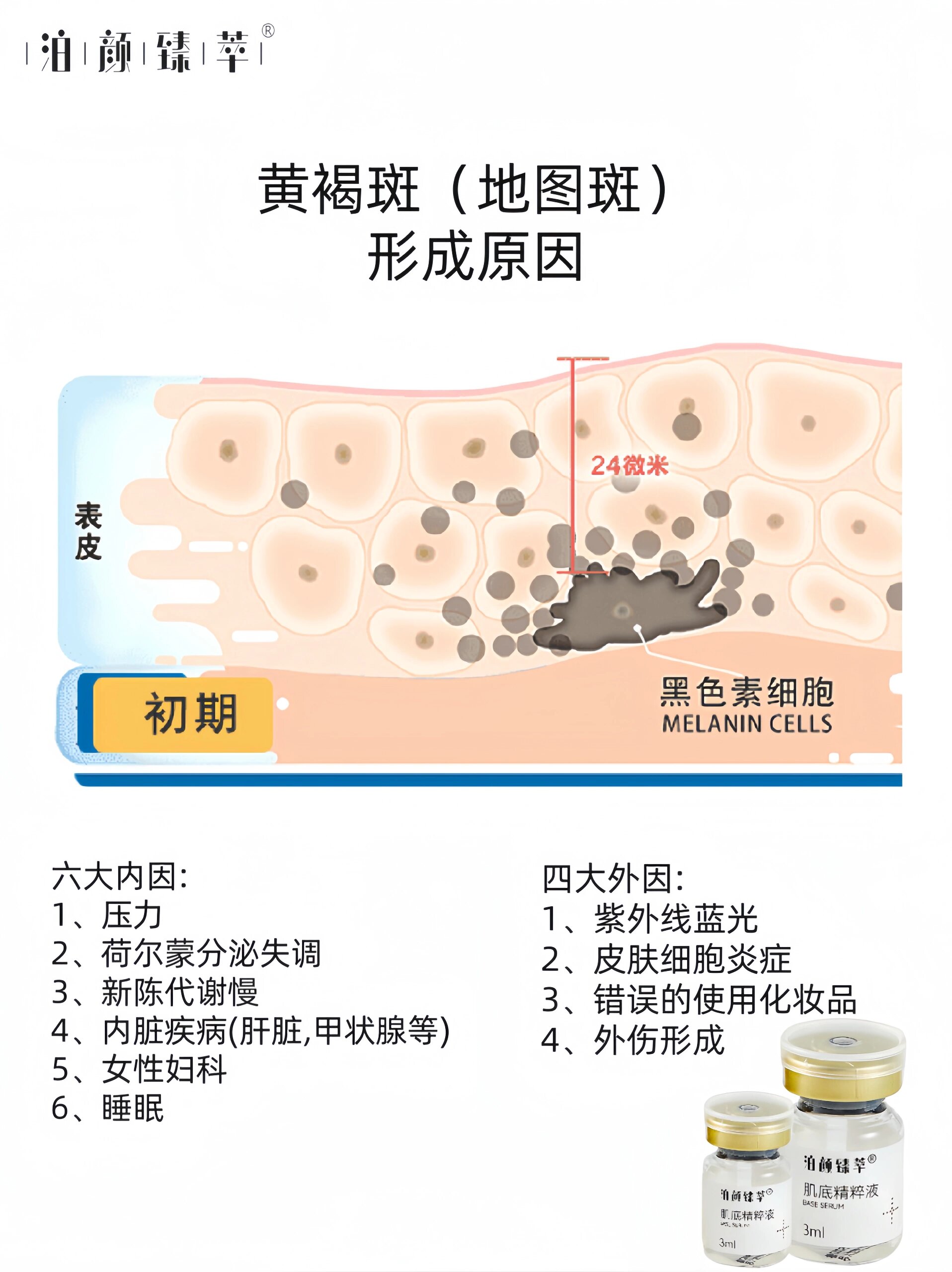 97一张图告诉你黄褐斑形成原因 979797一张图告诉你黄褐斑