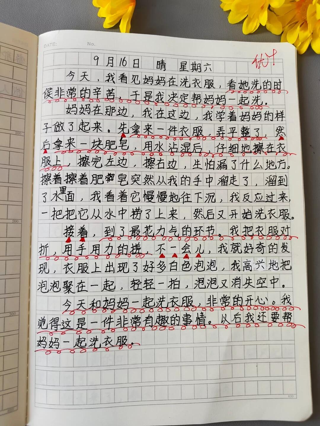 小学生日记