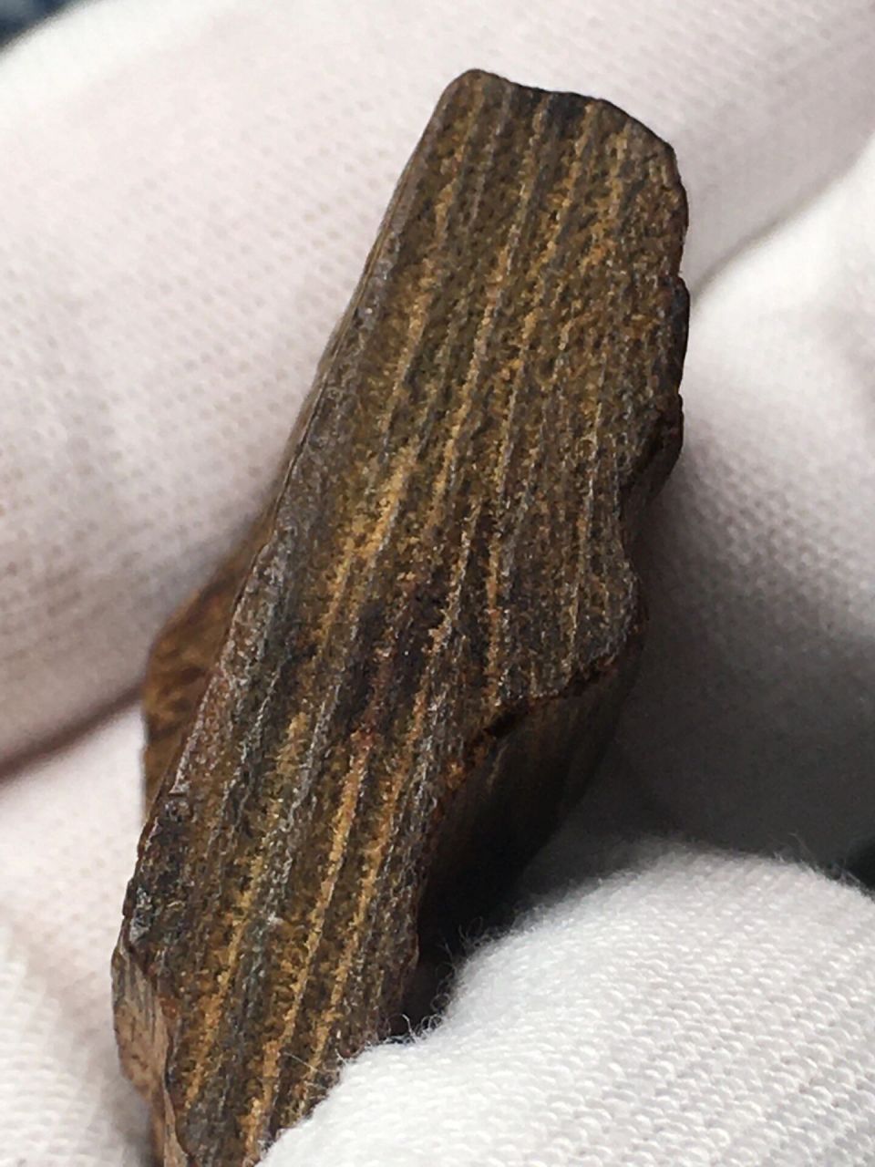 芽庄白奇楠 芽庄白奇楠 沉香只分三种,一种是芽庄白棋,一种是海南黑油