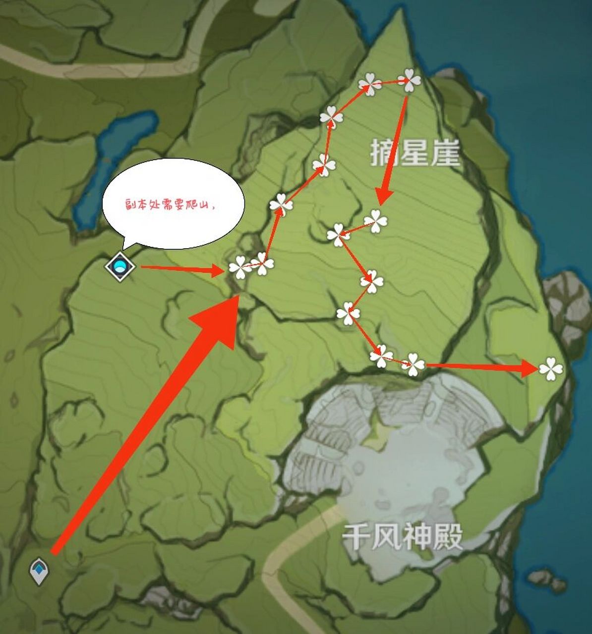 【原神】  塞西莉亚花采集路线 全图可采37株塞西莉亚花🌸,需要的来