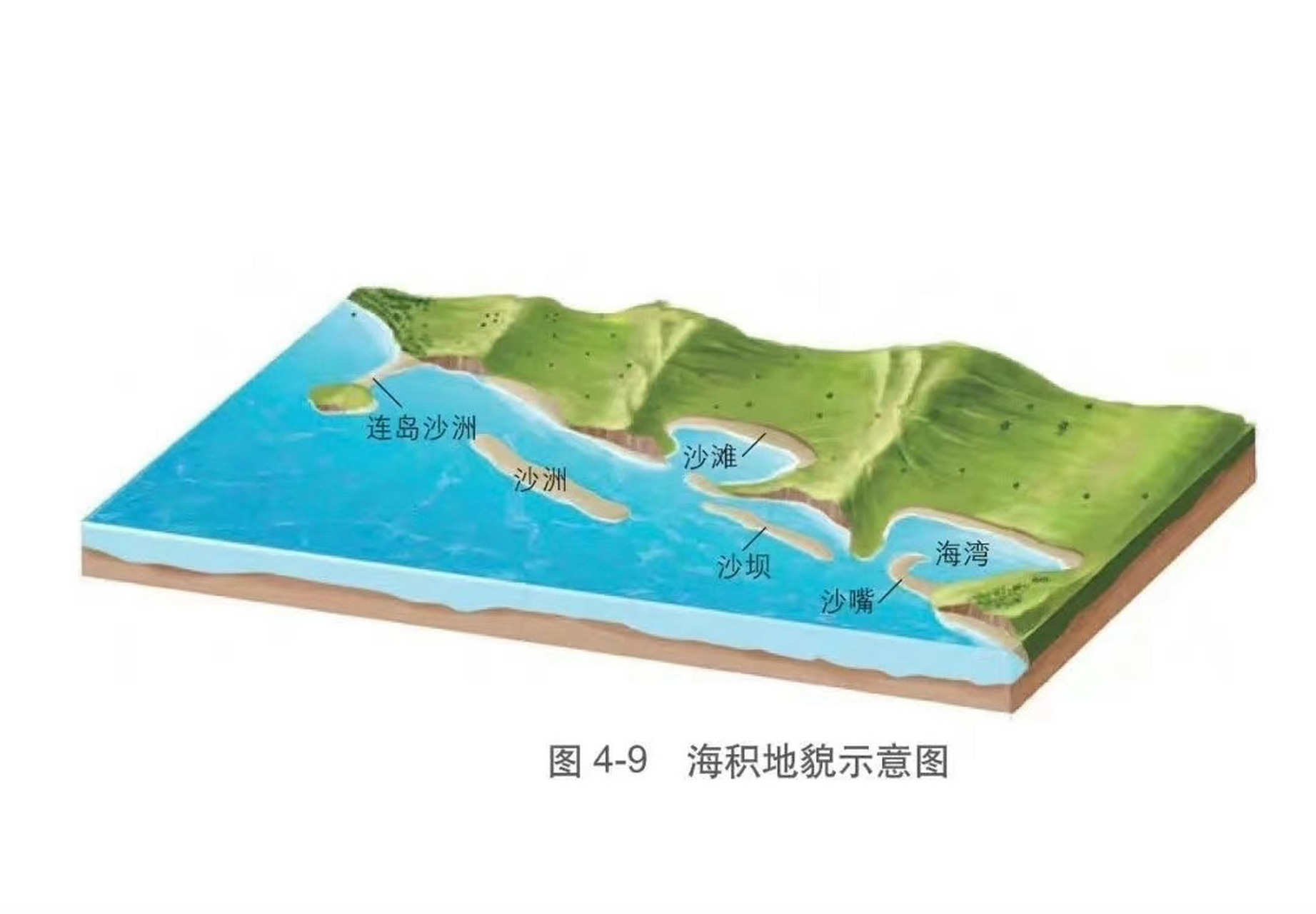 推断向海湿地地形图片