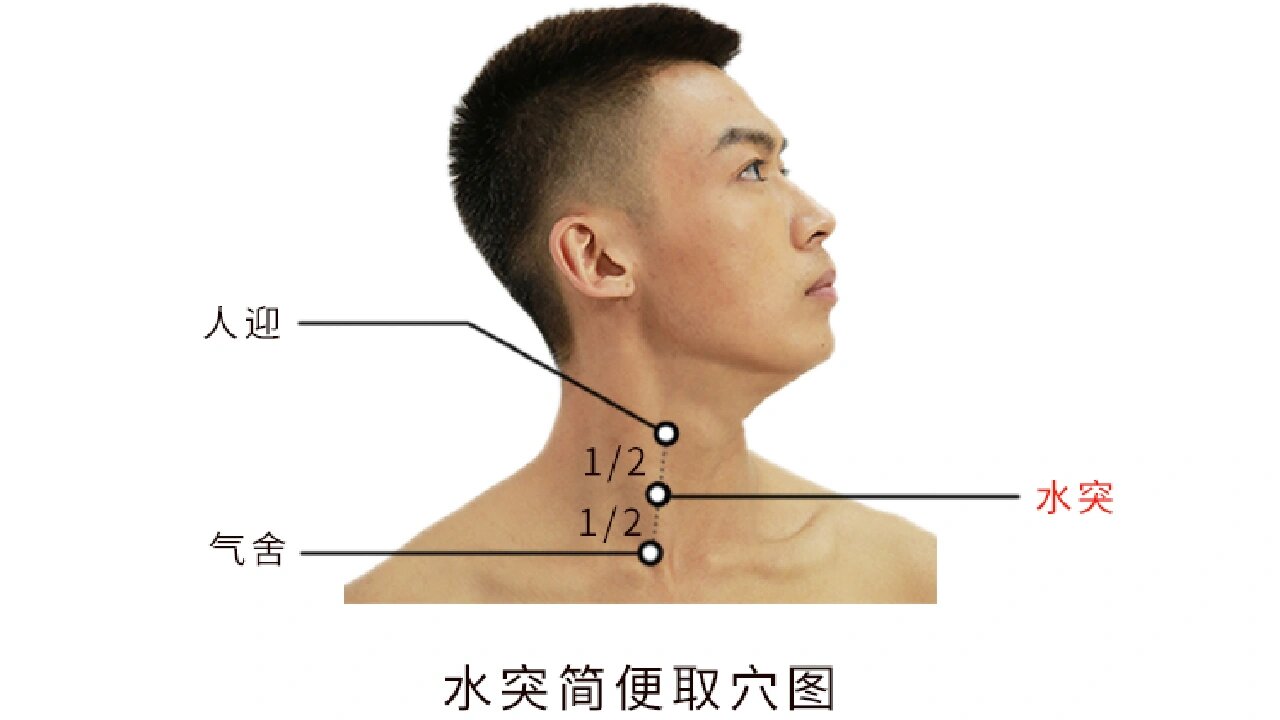 胸锁乳突肌外缘位置图图片