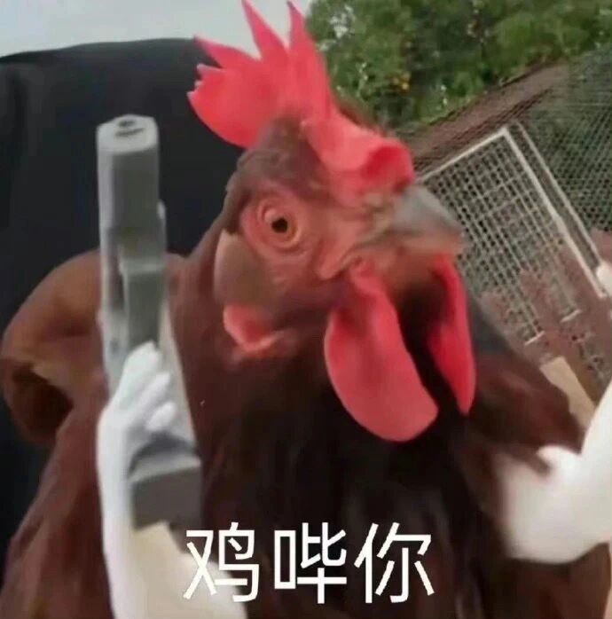 鸡哔你表情包