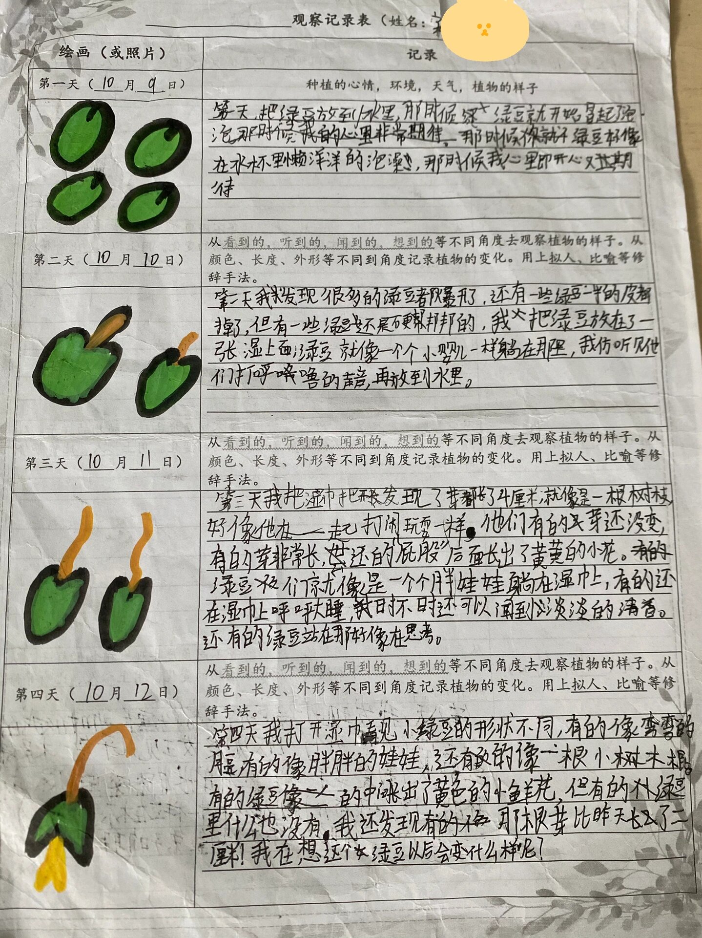 四上绿豆观察记录表