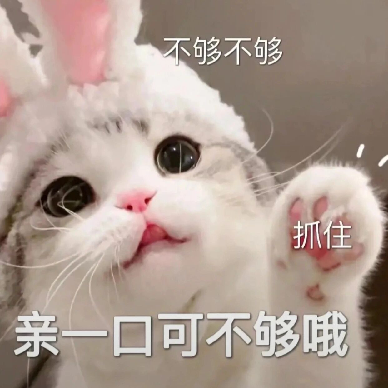 女朋友专属撒娇表情包来啦!